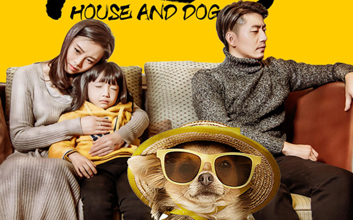  房子与狗