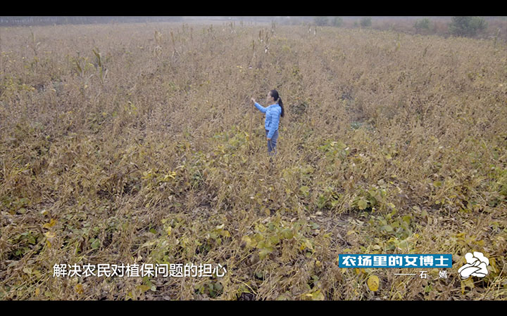 纪录片